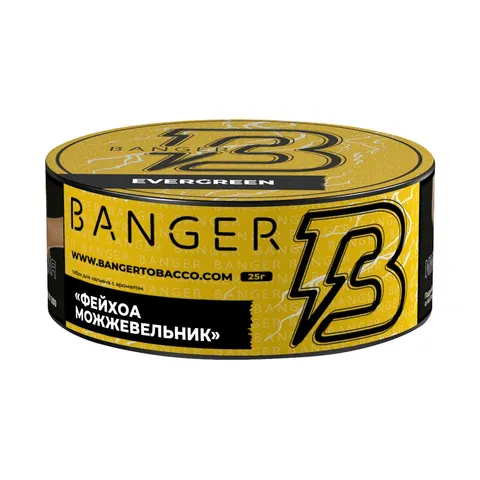 Табак для кальяна Banger Эвергрин (Фейхоа, можжевельник), 25г.
